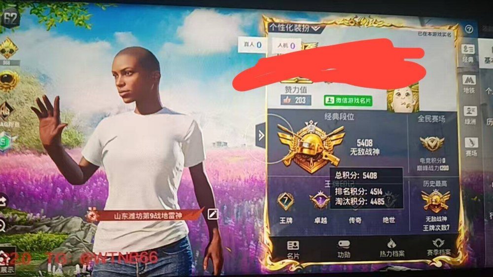 和平精英辅助自动发卡网：让你成为游戏中的顶级玩家
